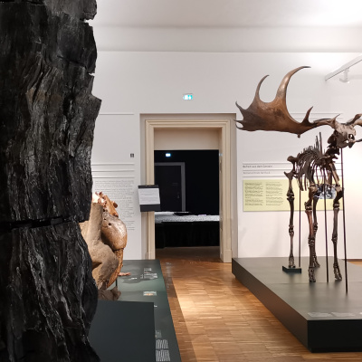 Returns of Knowledge(s) – Exhibition – HDA Haus der Architektur