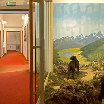 Returns of Knowledge(s) – Exhibition – HDA Haus der Architektur
