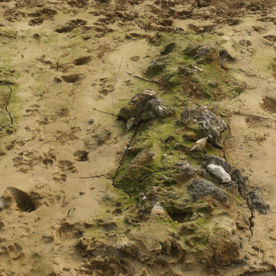 The Language of Secret Proof: Indigenous Truth and Representation